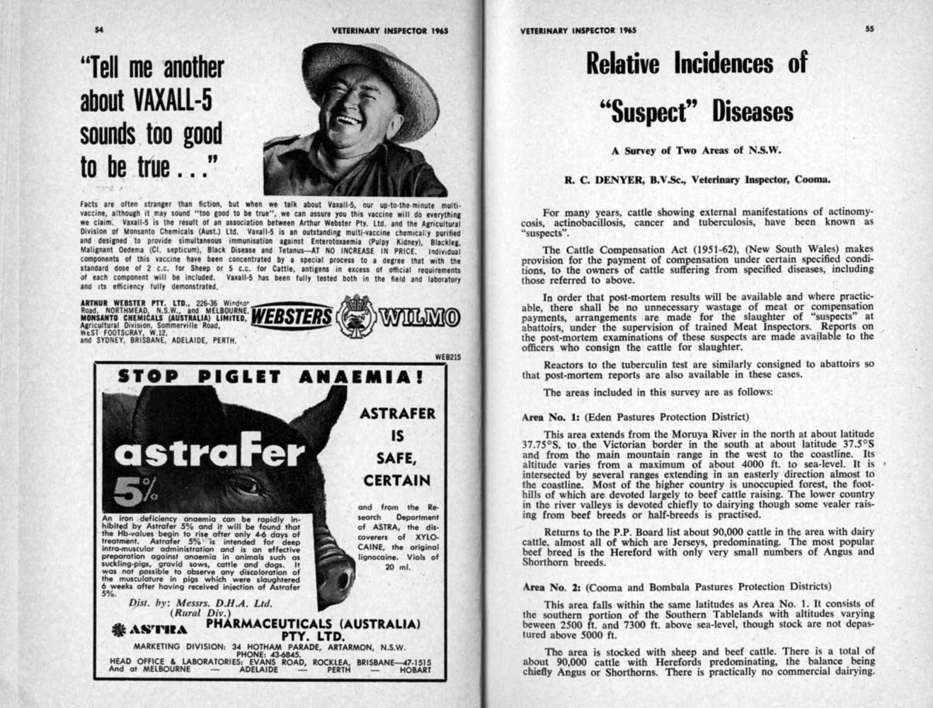 1965 Page 54 55